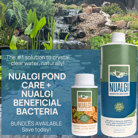 PondPatrol Nualgi outdoor-pond-setup integrated in garden pond