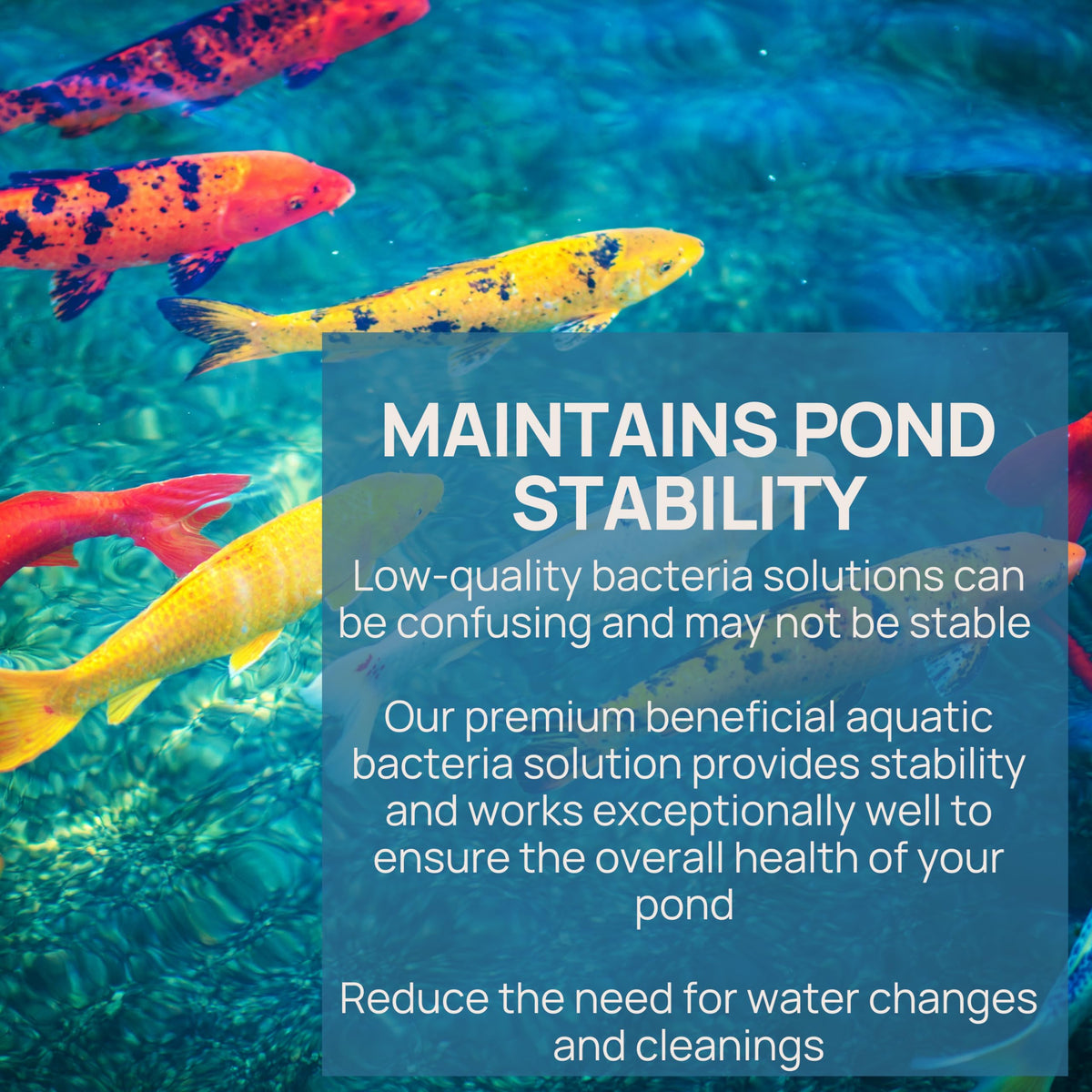 PondPatrol Nualgi water-clarity highlighting clearer water