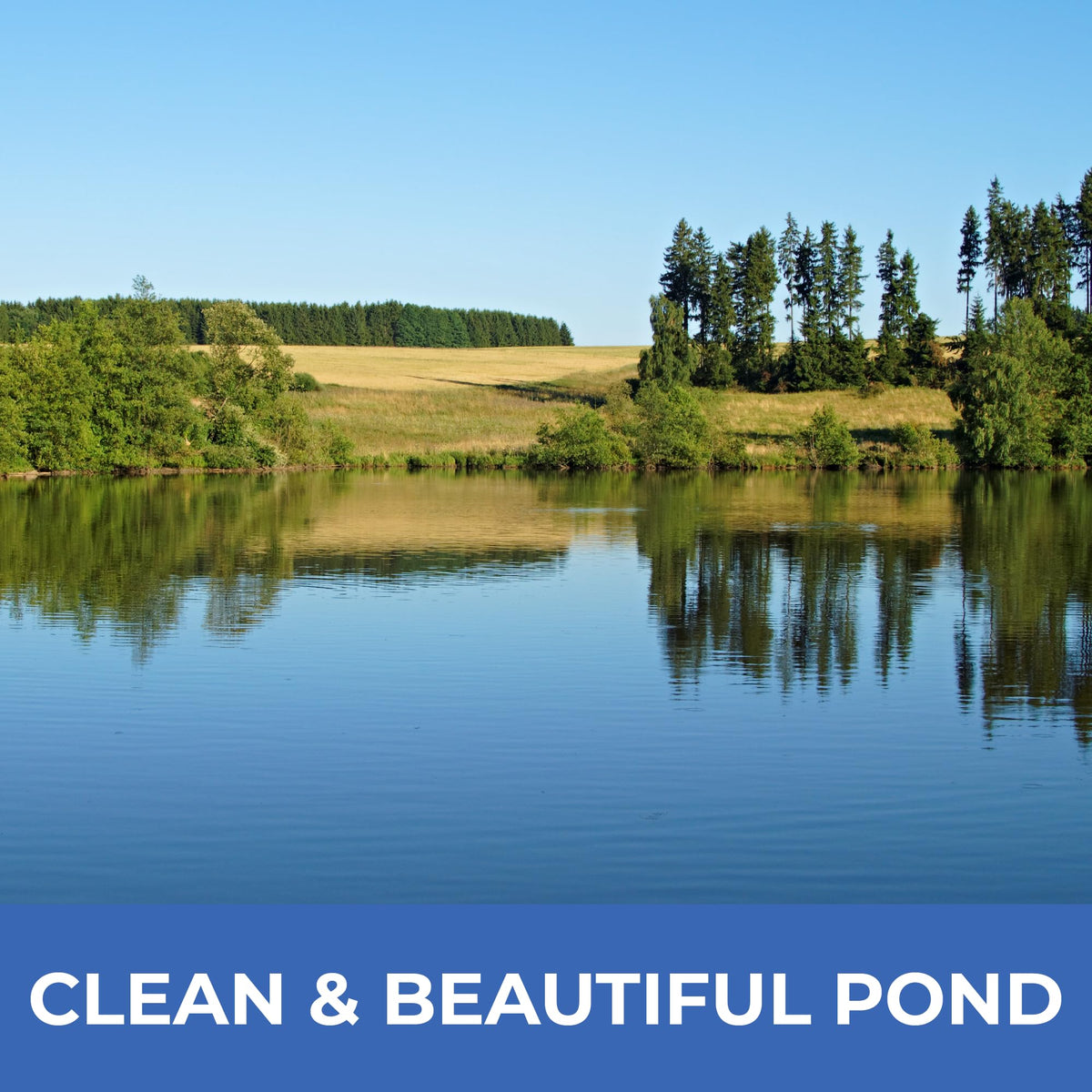 PondValue Ultimate Pond Bacteria in use at a pond edge
