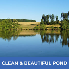 PondValue Ultimate Pond Bacteria in use at a pond edge