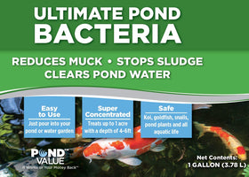 PondValue Ultimate Pond Bacteria label visible with usage guidance