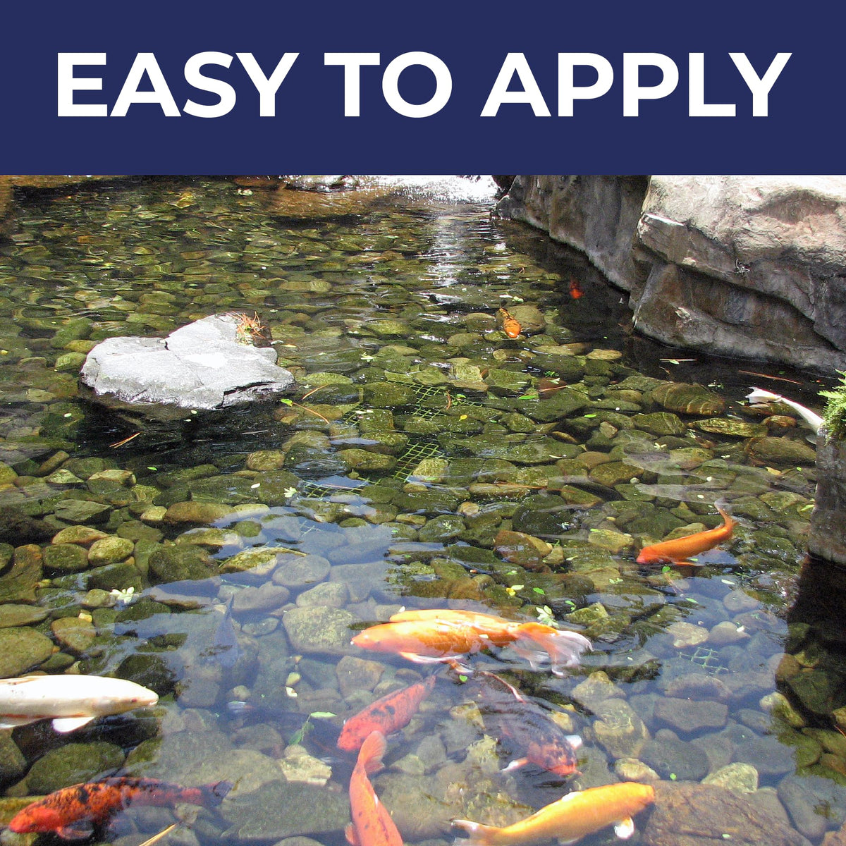 PondValue Ultimate Pond Bacteria bottle beside clear pond water
