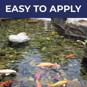 PondValue Ultimate Pond Bacteria bottle beside clear pond water