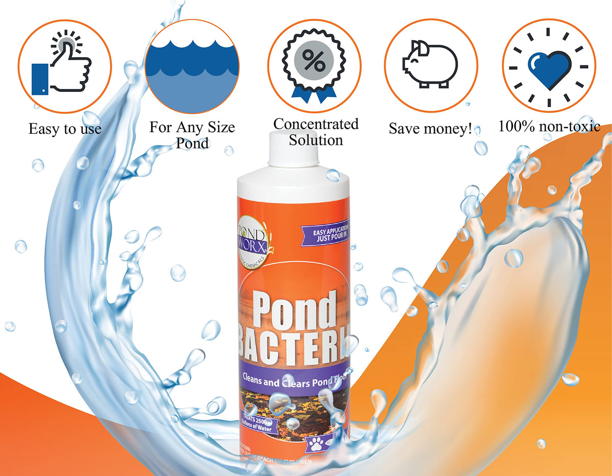 Pondworx bacteria safe for koi and wildlife