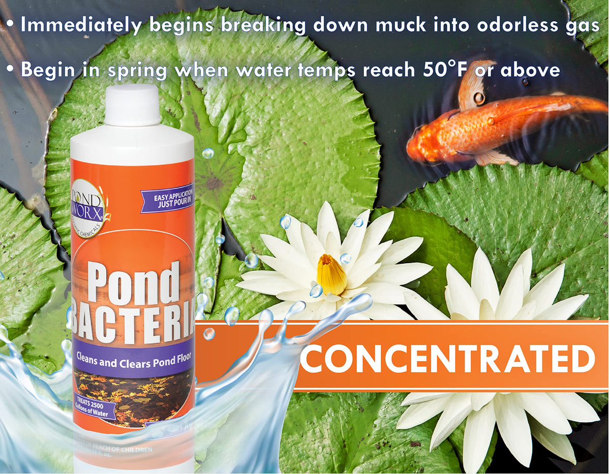 Pondworx bacteria designed for large ponds and water gardens