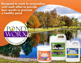 Pondworx Pond Bacteria helps maintain a healthy ecosystem in water features.