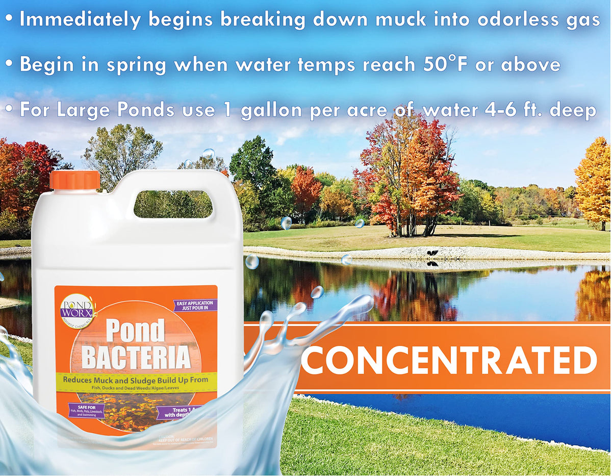 Pondworx Pond Bacteria container used in a koi pond for safe, balanced water.