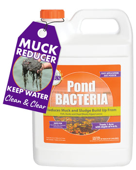 Pondworx Pond Bacteria bottle pouring into a large pond to boost clarity.