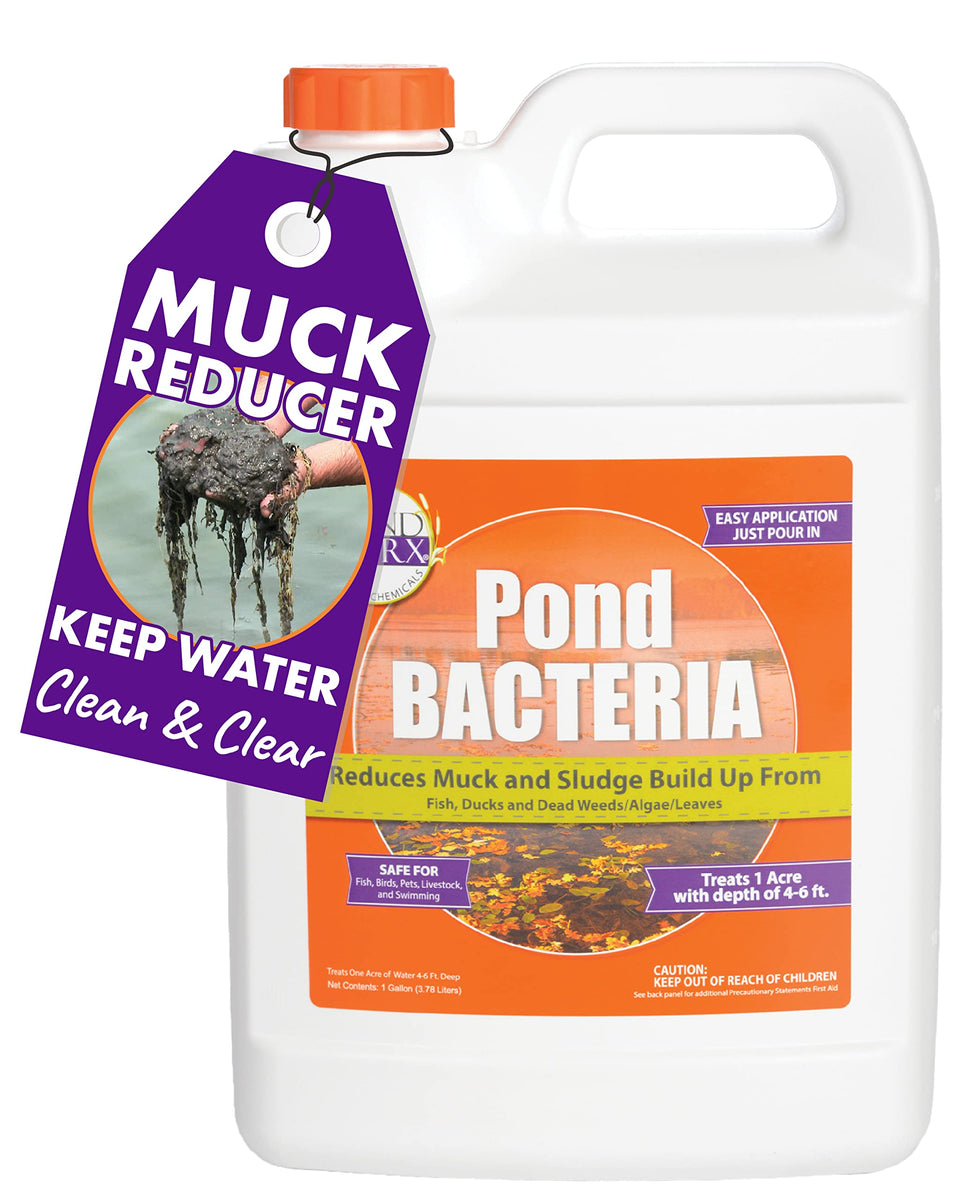 Pondworx Pond Bacteria bottle pouring into a large pond to boost clarity.