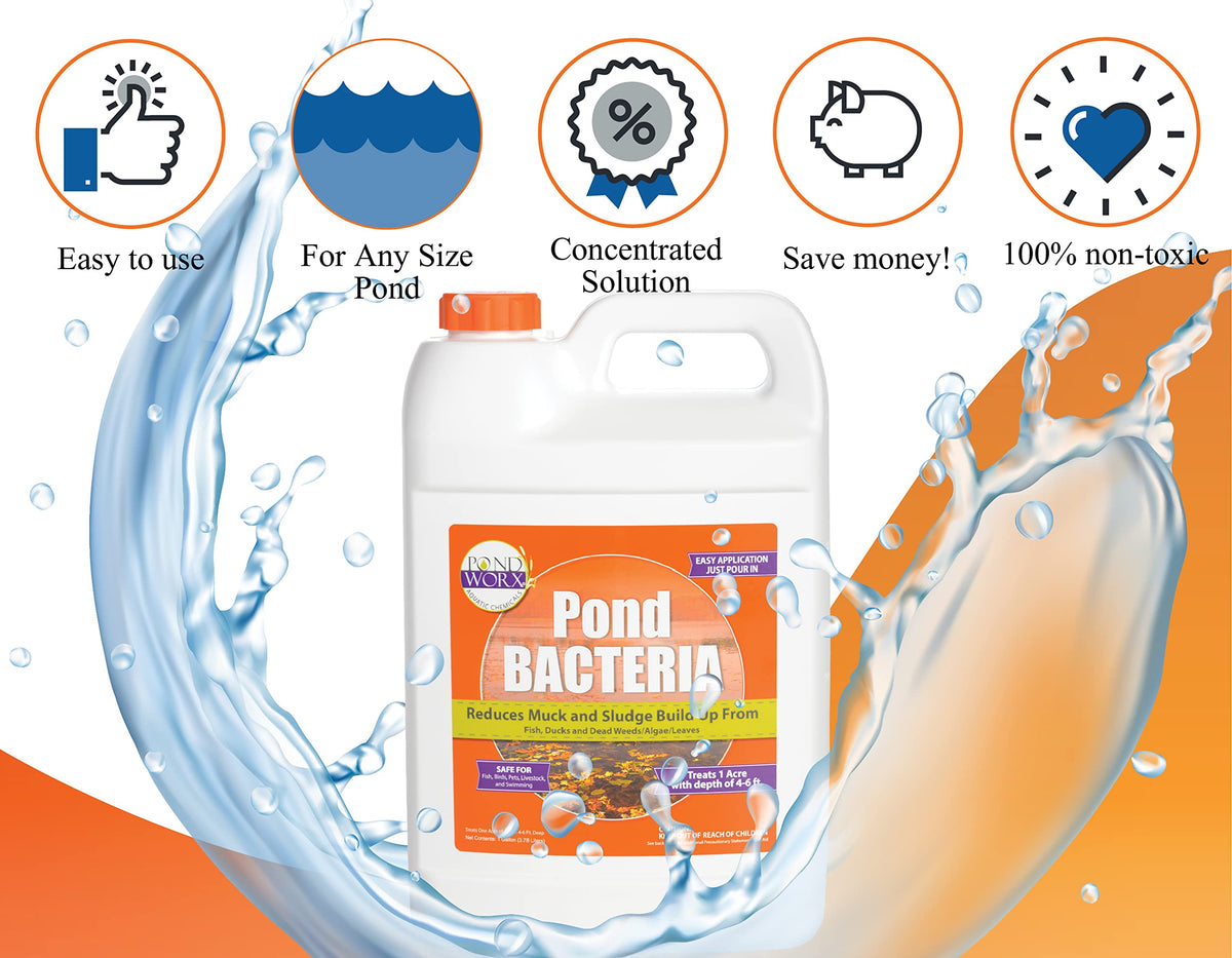 Pondworx Pond Bacteria label highlights concentrated formula for large ponds.