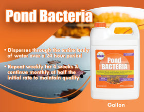Pondworx Pond Bacteria being applied along shoreline of a decorative water garden.
