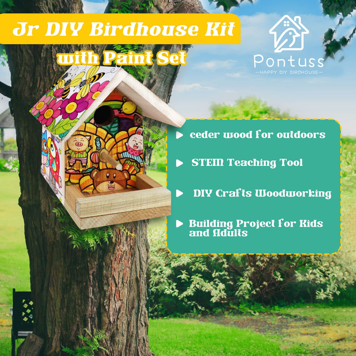 Pontuss DIY Birdhouse Kit paint strip for colorful creativity