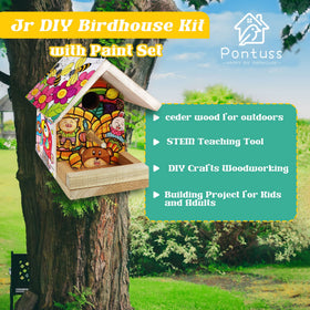 Pontuss DIY Birdhouse Kit paint strip for colorful creativity