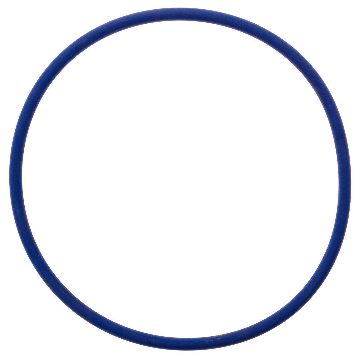 Pool Ruler CLX200K Viton o-ring closeup showing chlorine resistance.