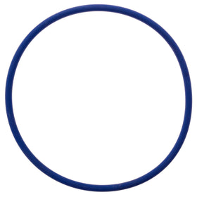 Pool Ruler CLX200K Viton o-ring closeup showing chlorine resistance.