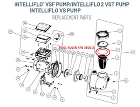 Pool Ruler lid O-ring dimensions help you verify correct size before purchase.