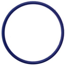 Pool Ruler rainbow-chlorinator lid compatibility for Pentair systems.