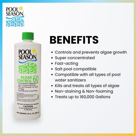 Pool Season Polyquat 60 non-metallic formula avoids staining