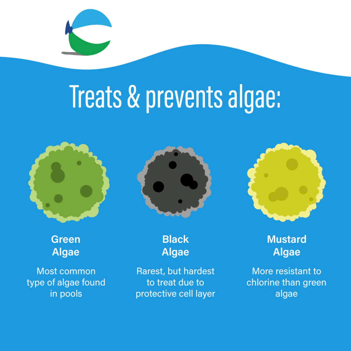 Poolife Algaecide 90 label close-up highlighting chelated copper technology