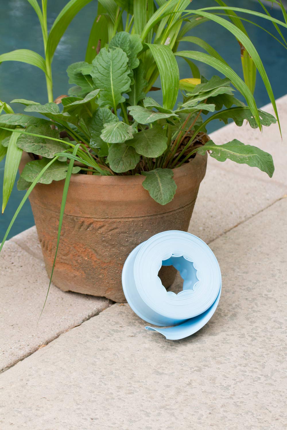 Poolmaster backwash hose in use with pool shows compatibility with standard 1-1/2 inch fittings.