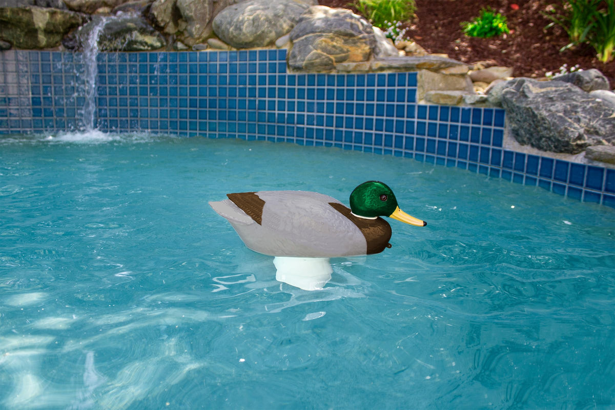 Poolmaster floating chlorine dispenser adds whimsy while dosing chlorine