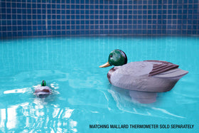 Poolmaster holds 3-inch tablets for steady chlorine release