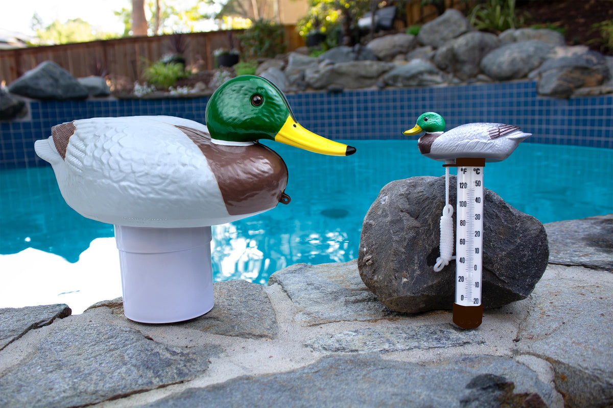 Poolmaster Mallard-themed floating dispenser adds fun while dosing chlorine