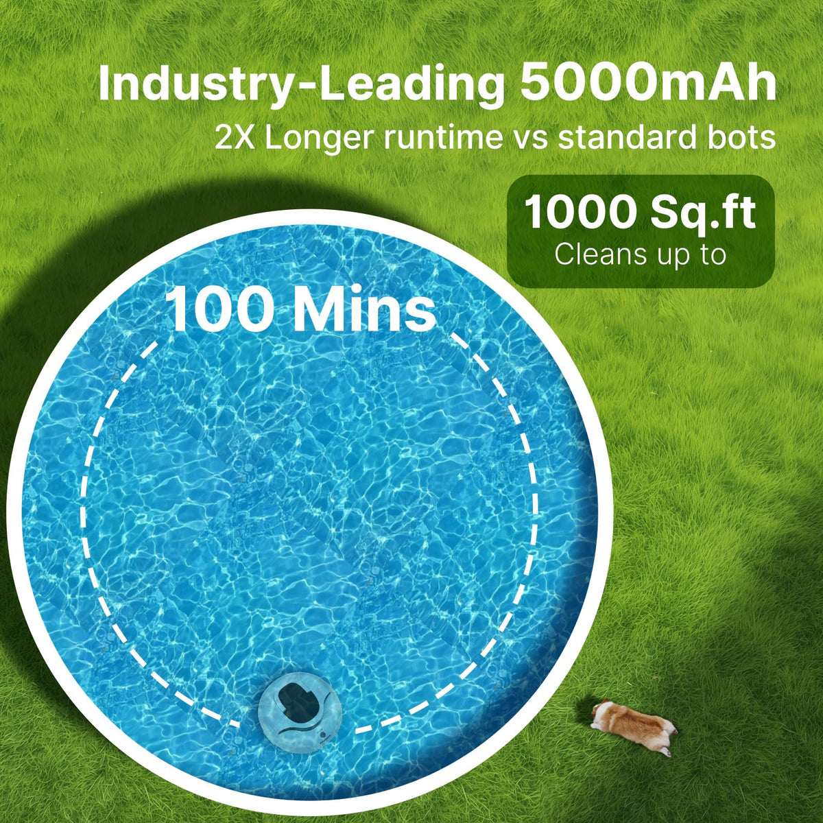 PoolPure Aquaguard SE II waterproof seals protect the motor and electronics.