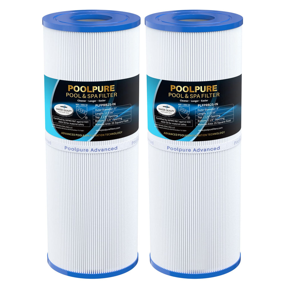 PoolPure PLFPRB25-IN drop-in spa filter assembly for clear water