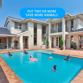 Poolvio textured grip surface helps animals climb out safely.