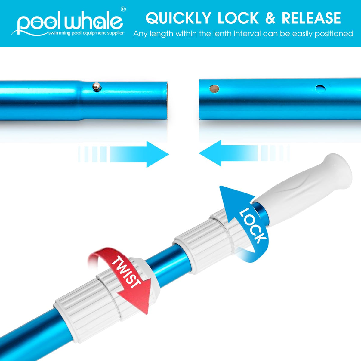 POOLWHALE quick-lock mechanism keeps length secure during cleaning sessions.