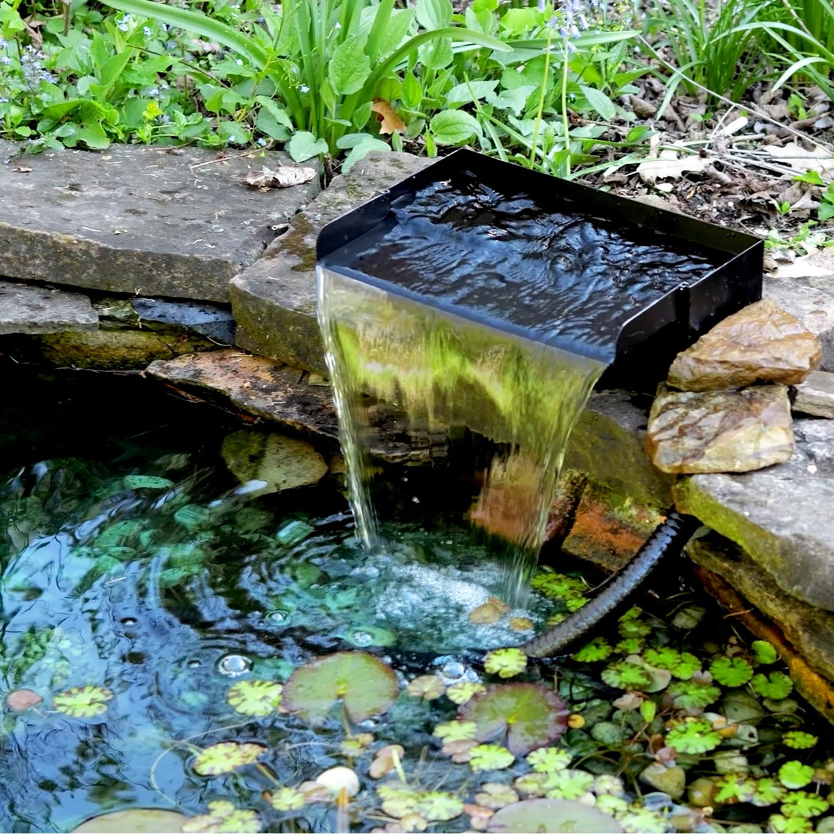 POPOSOAP filter bag helps keep debris out of the pump