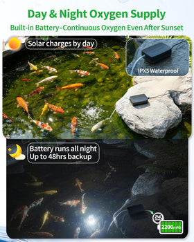POPOSOAP solar panel with 2200mAh battery backup powering 24/7 aeration.