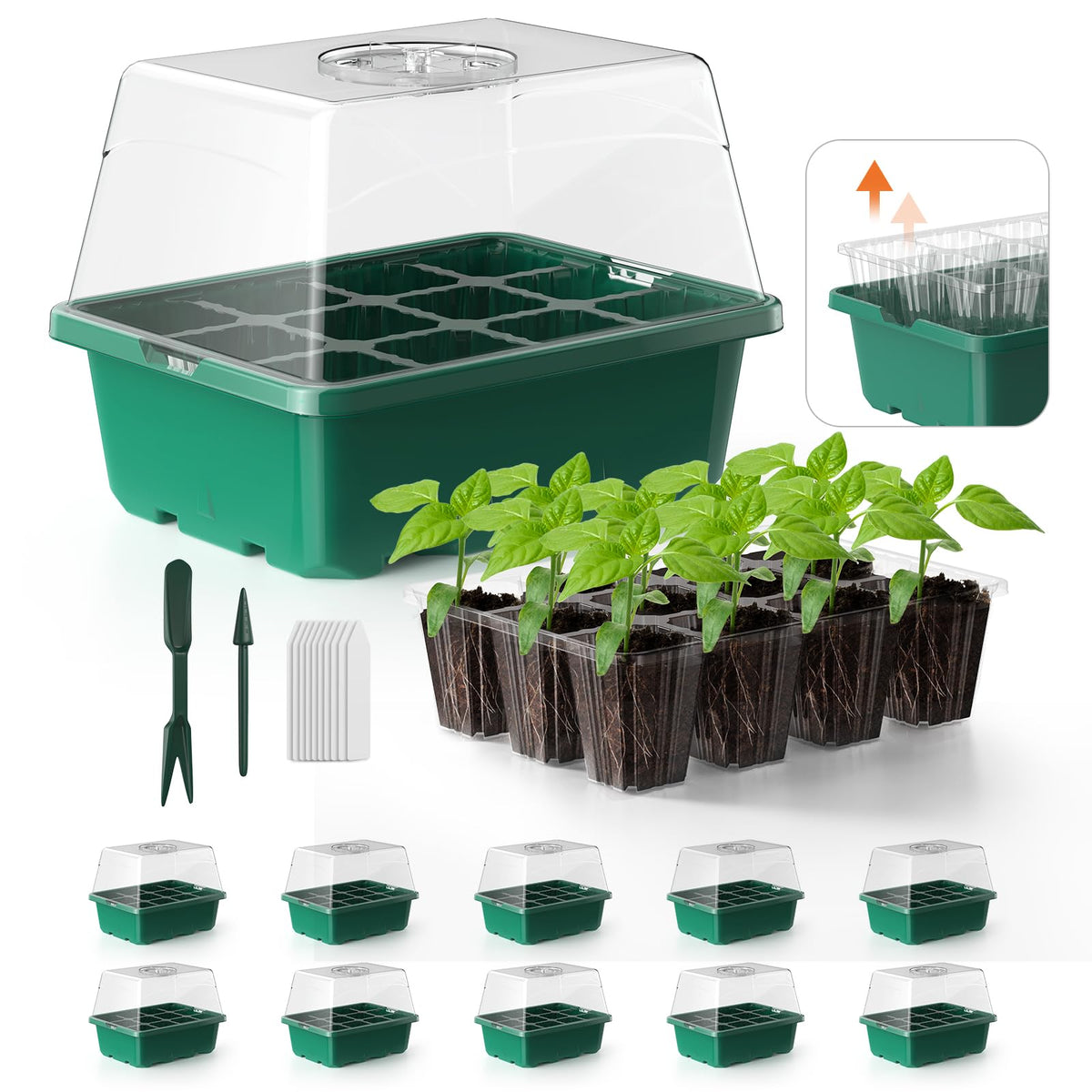 POROLIR Seed Starter Tray 12 cells for indoor germination and uniform seedlings.