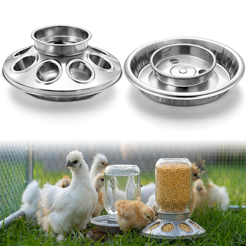Potchen baby chick feeder base with eight holes for multi-chick feeding.