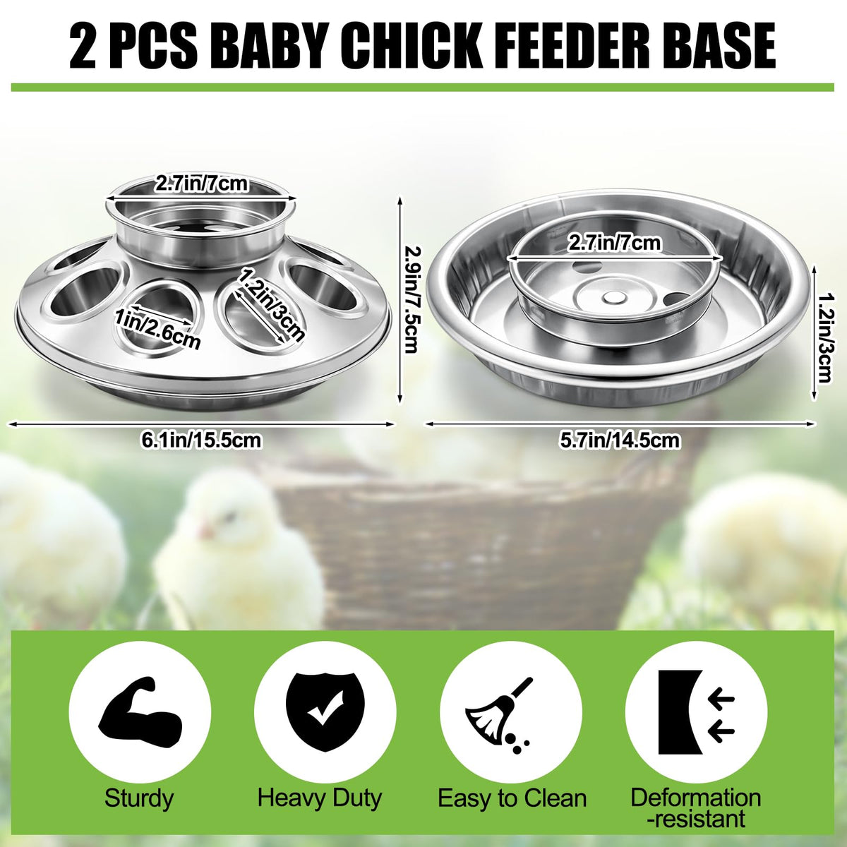 Potchen waterer base with eight holes ensures steady water access for chicks.