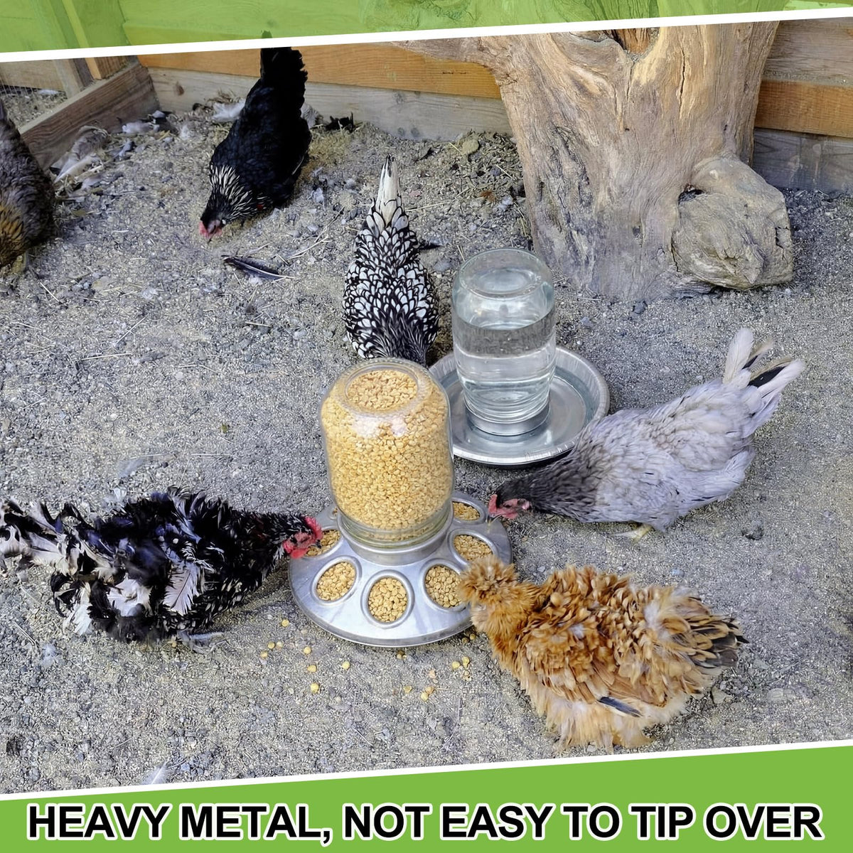 Two-pack design is ideal for home or farm chick care.