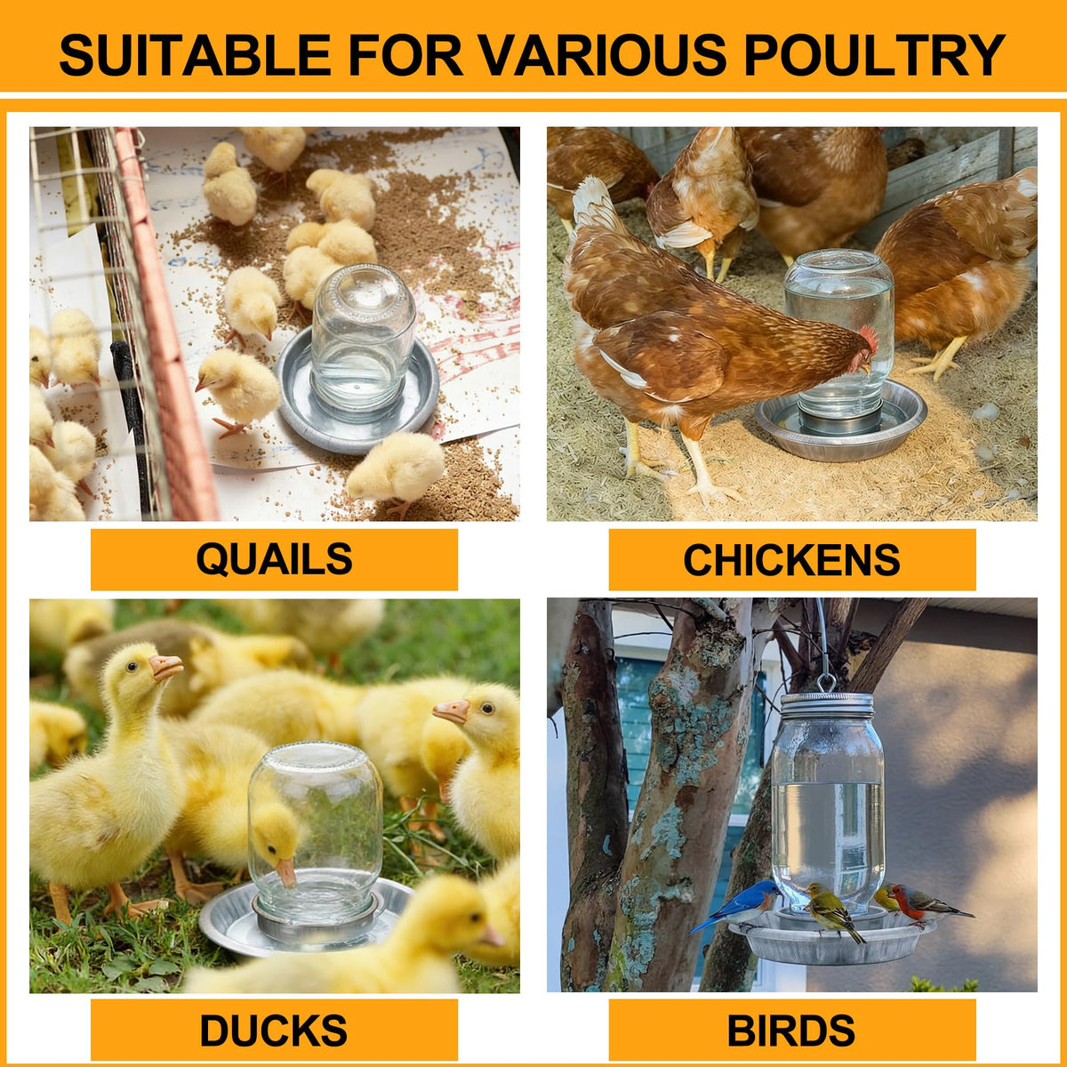 Potchen two-pack provides reliable feeding stations for multiple chicks