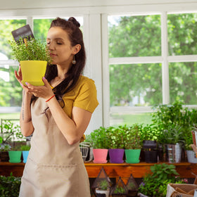 Potchen pots with trays prevent spills and protect floors