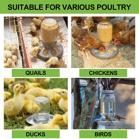 Smooth-edged, raised design reduces chick injury risk during feeding.