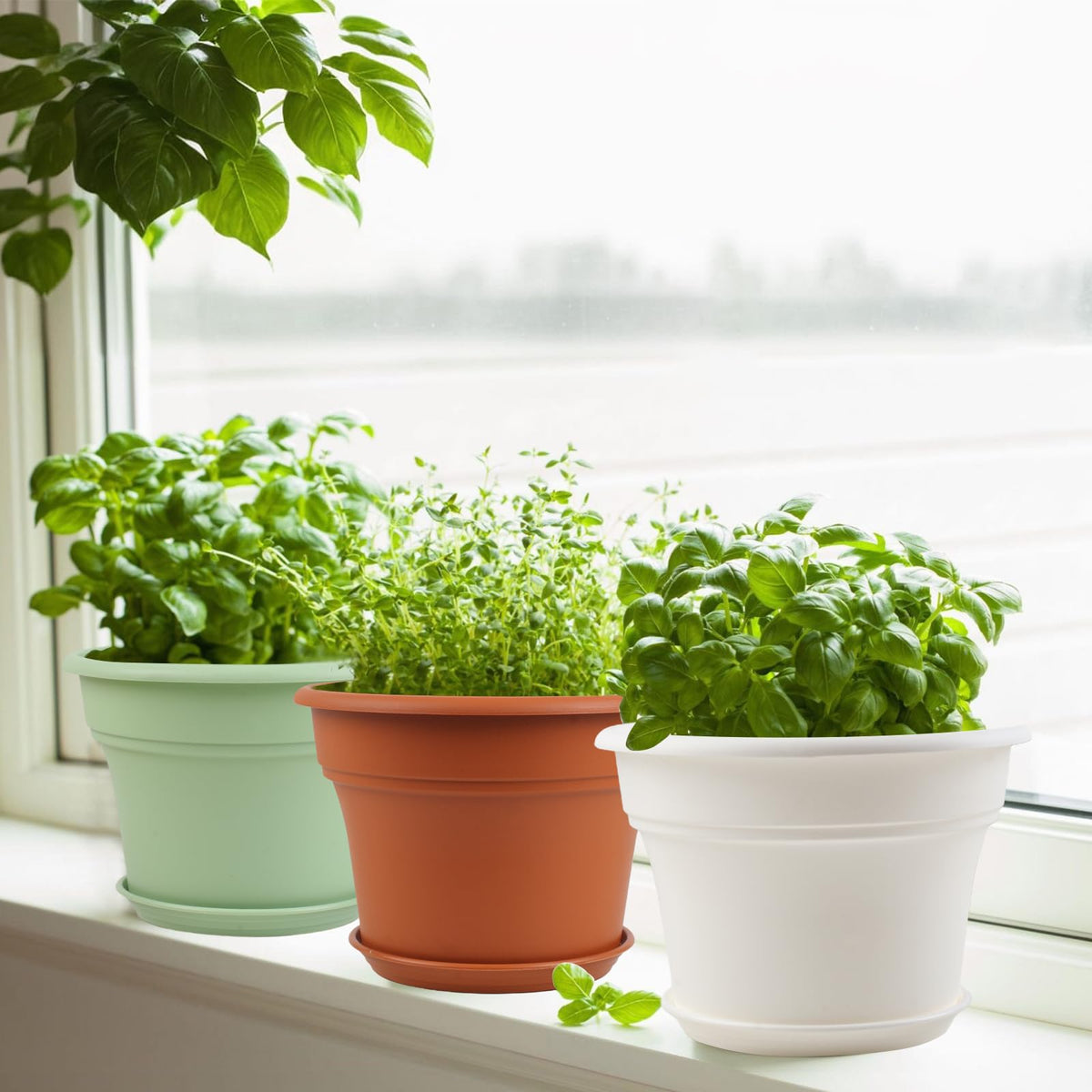 Pottiffe 4-pack planters on table; versatile decor for living spaces.