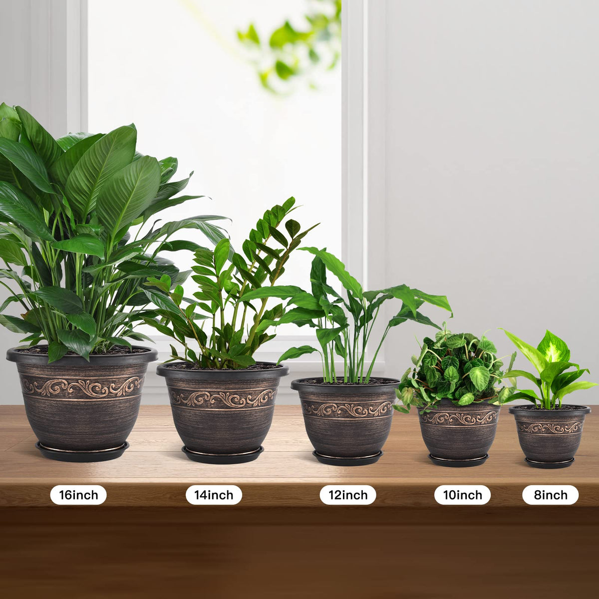 Pottiffe planter texture featuring decorative Art Deco pattern.