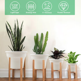 Close-up of drainage holes and saucers; prevents overwatering and contains spills.