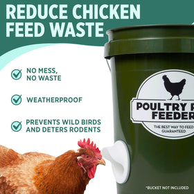 Poultry Pro Feeder rainproof design protects feed from moisture