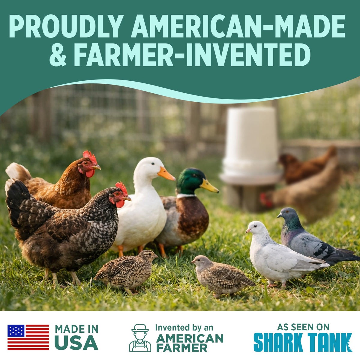 Poultry Pro Waterer prevents spills and keeps water accessible in the coop