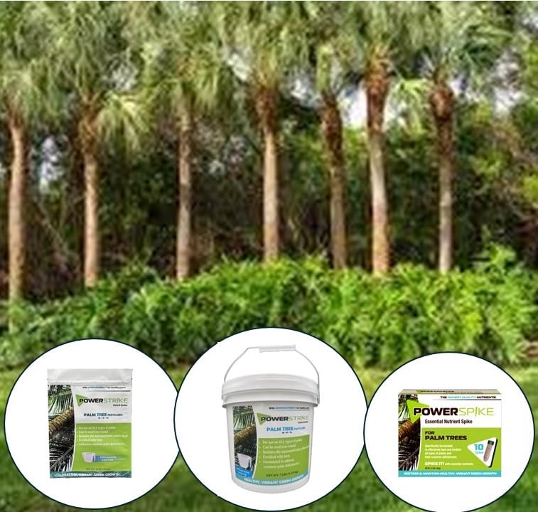 Power Spike root-zone-release targets palm root area for nourishment