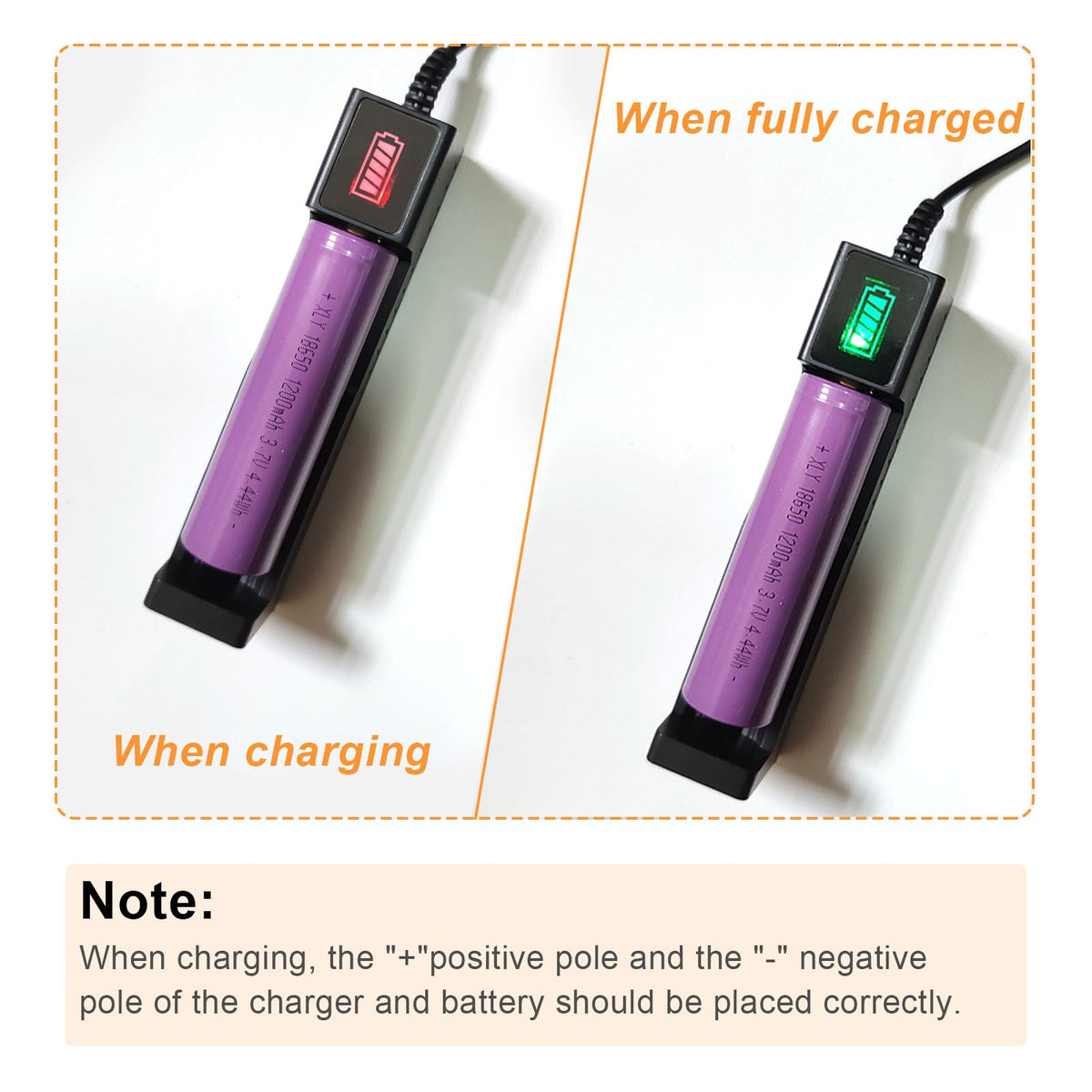 Powerful Egg Candler supports all egg types for versatile candling