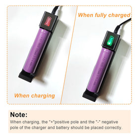Powerful Egg Candler supports all egg types for versatile candling