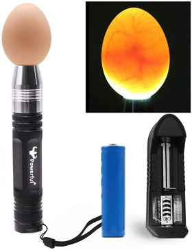 Powerful Egg Candler with stainless steel body for durable candling in any setting