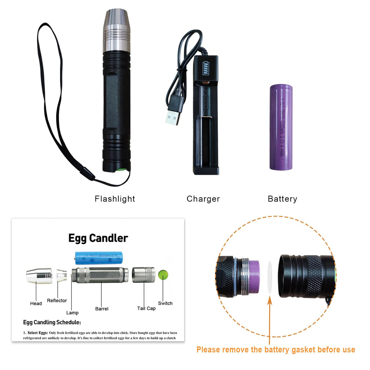 Powerful Egg Candler emits 500 lumens for clear embryo visibility